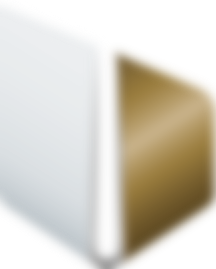 German Brand Award 2021